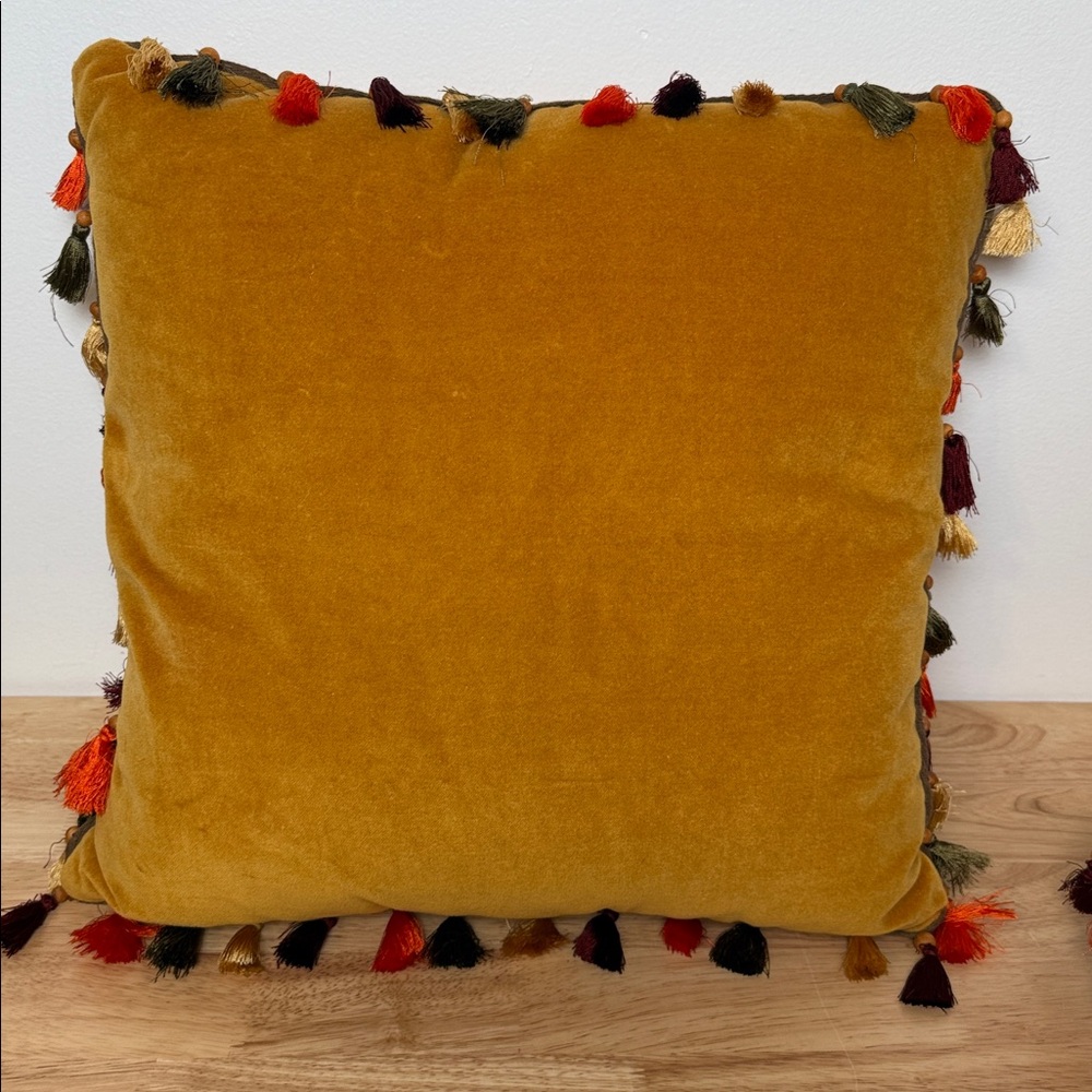 Set of Pier 1 Velvet boho pillow with tassels - Picture 5 of 13